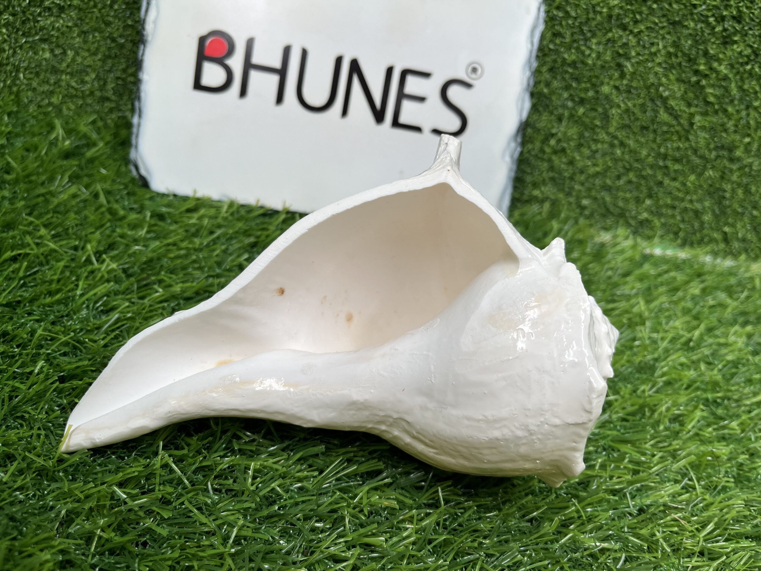 Bhunes Natural Non Blowing Right Hand Pooja Lakshmi Valampuri Shankh, Dakshinavarti Conch,White, 6.5 Inch, 1 Piece