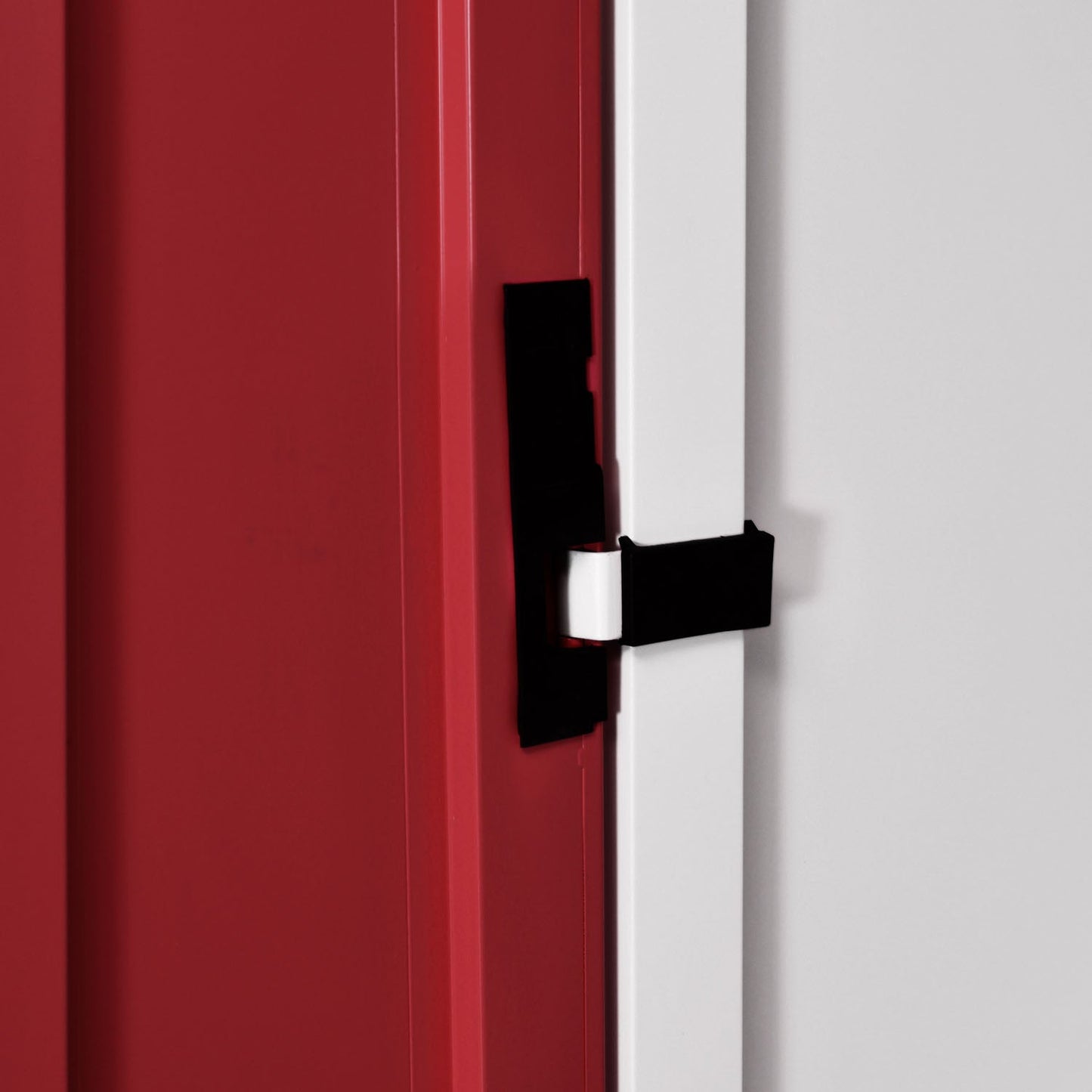 Nilkamal Olympus 2 Door with Mirror  Steel Wardrobe (Cherry Red / White)