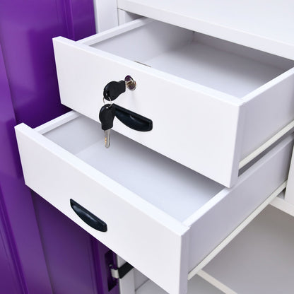 Nilkamal Olympus 2 Door with Mirror  Steel Wardrobe (Voilet / White)