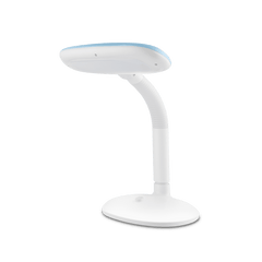 Oval LED Desk Lamp for Study Table
