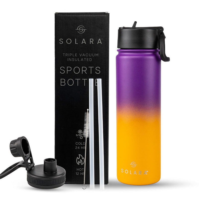 Insulated Water Bottle 650 ML