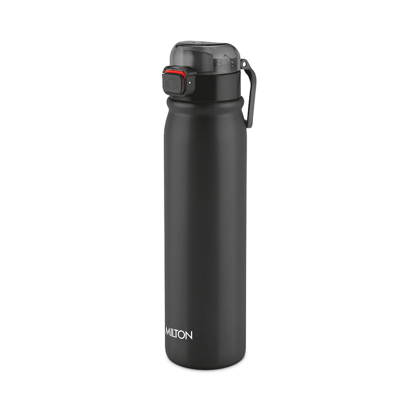 Reva Stainless Steel Bottle (Milton)