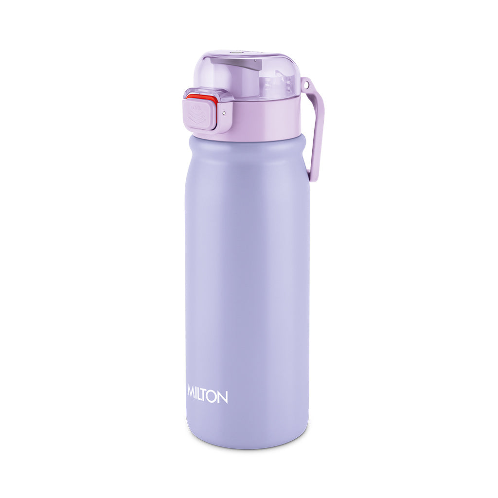 Reva Stainless Steel Bottle (Milton)