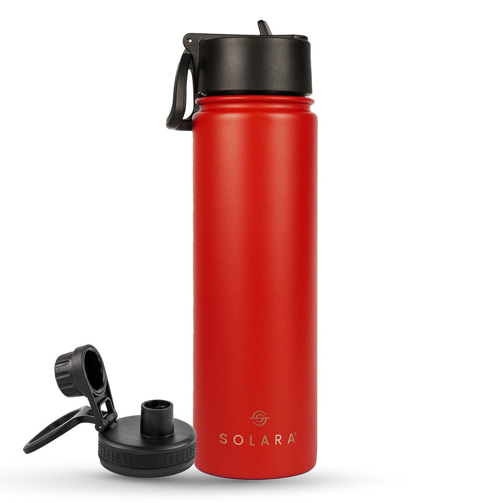 Insulated Water Bottle 650 ML