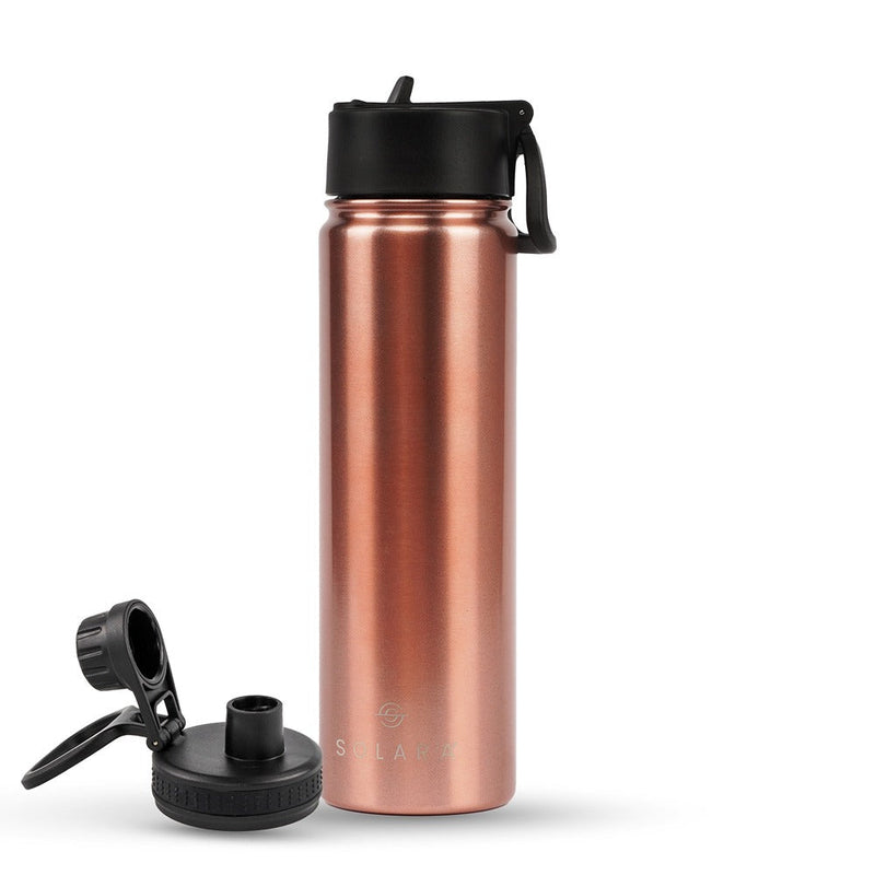 Insulated Water Bottle 650 ML