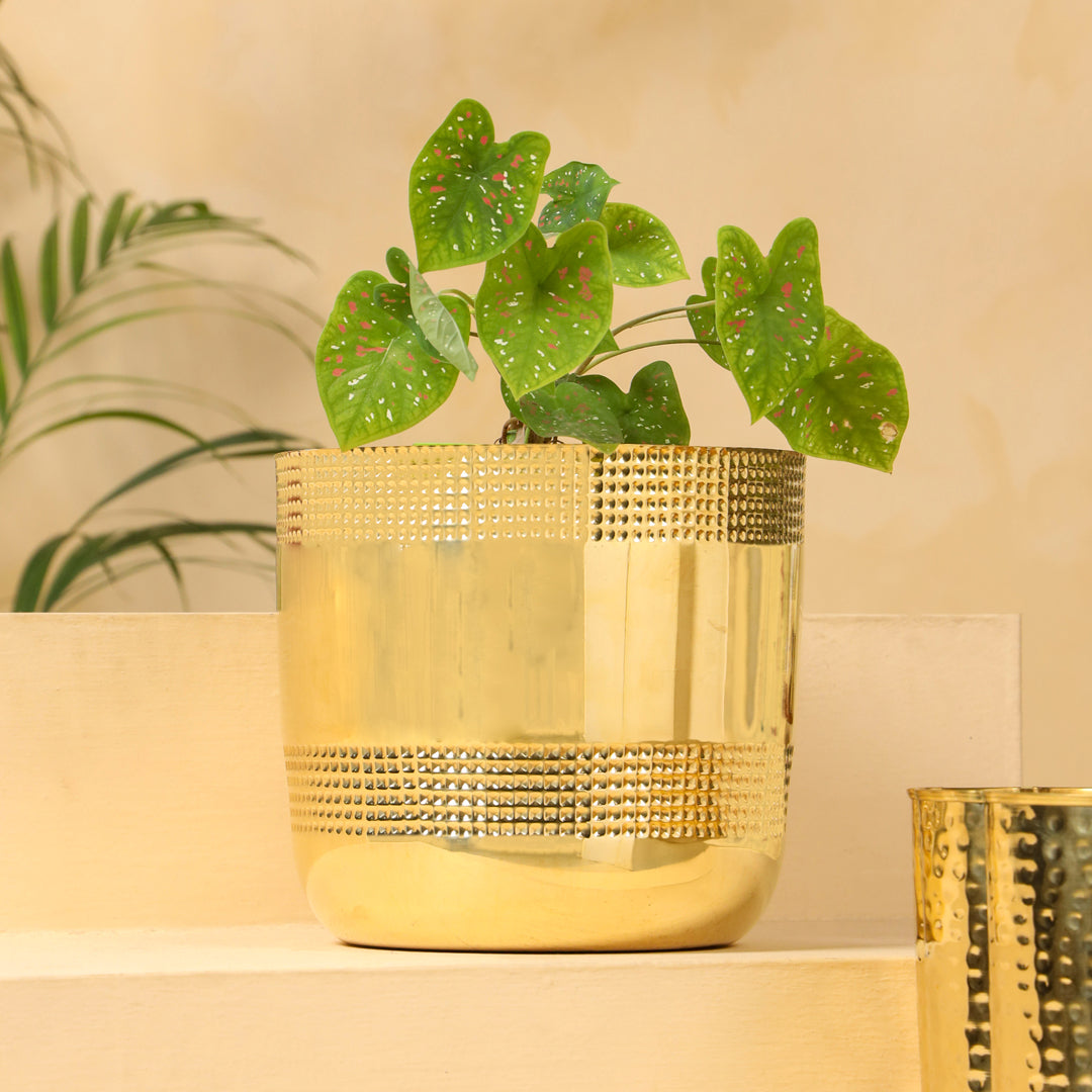 Brass Bucket Planter Pot (9 Inch)