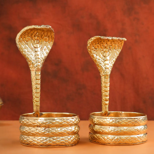 Brass Naag Design Abhishekam (12 Inch)