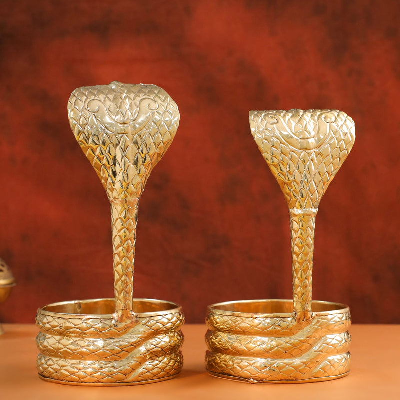 Brass Naag Design Abhishekam (12 Inch)