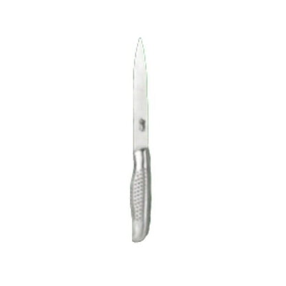 Anjali Plastic Kitchenware Line Utility Knife, Kc15, 10 in, Silver