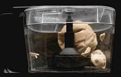 प्रीति एस्ट्रा एक्सपर्ट टेबल टॉप वेट ग्राइंडर फ़ूड प्रोसेसर के साथ, 2 लीटर (काला) 