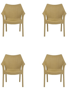 Supreme Cambridge Plastic Chair (Cane, Set of 4)-1