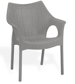 Supreme chairs Cambridge Heavy Plastic Chair | Oversized Arm Chair for Garden and Outdoor | 250Kg Weight Bearing Capacity | 6 Months Warranty (Champagne) | Set of 2 Chairs-2