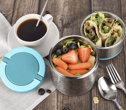 Tedemel LUNCH BOX 2 LAYER 2 Containers Lunch Box  (900 ml, Thermoware)