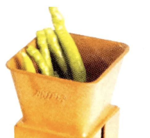 Anjali Chilly N Nut Cutter Popular