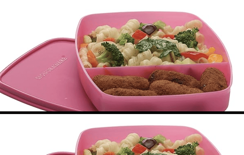 Signoraware Slim Compartment Lunch Box, Bpa Free Plastic, Microwave Safe Food Grade Tiffin Boxes for Office School, Leak Proof Air Tight Compact Dabba (340ml, Square, 2 Section Storage)-3