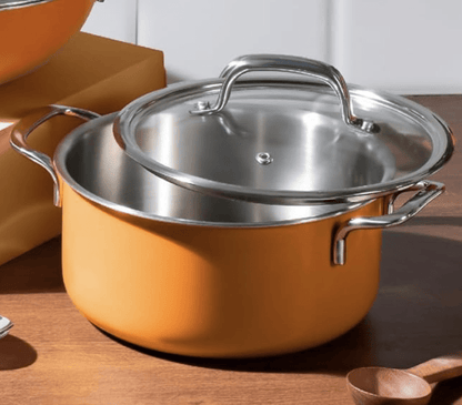 ARTTDINOX विडा स्टेनलेस स्टील ट्रिपली पॉट ग्लास ढक्कन के साथ बिरयानी | पुलाव | हलवा | करी के लिए | 18 सेमी | 2 लीटर | रिवेटलेस हैंडल | इंडक्शन और गैस बेस | 7 साल की वारंटी | जिंदल स्टेनलेस 