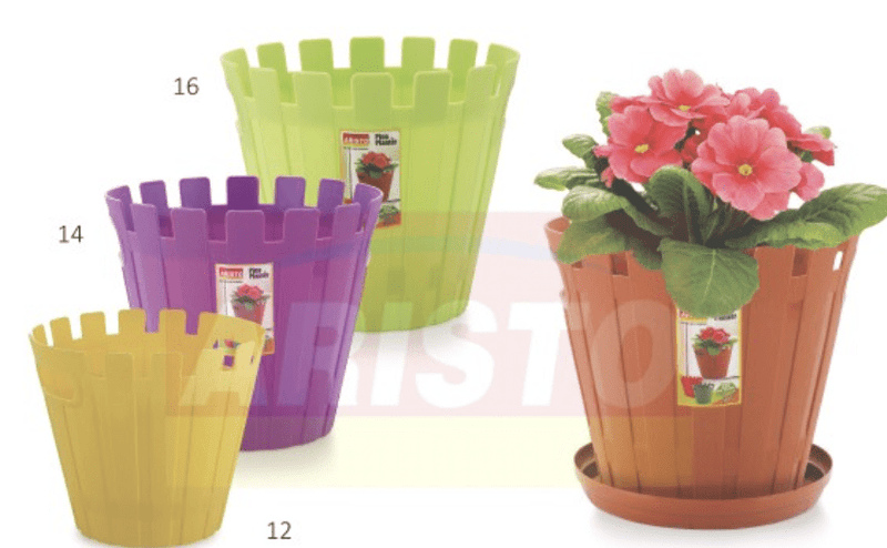 PINE PLANTERS Aristo-1