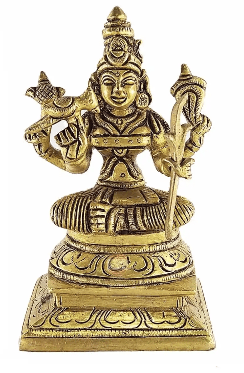 Meenachi Amman Brass-1