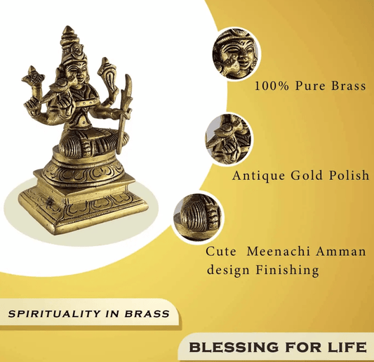 Meenachi Amman Brass