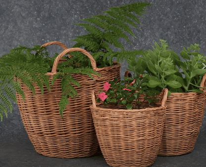 Indoor Planters Made With Wicker From The Willow Tree | Small | Sustainable And Eco Friendly | Handmade In India