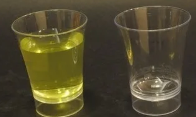 Thinware Shot Glass-1