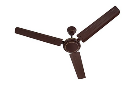 उषा डिप्लोमैट 1200 मिमी 50 वाट | बीईई स्टार रेटिंग | 2 साल की वारंटी | (भूरा) 1 का पैक