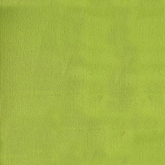 Green Outdoor Fabric Pillow Plain Shade 12