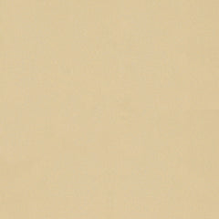 Cream Outdoor Fabric Pillow Plain Shade 16