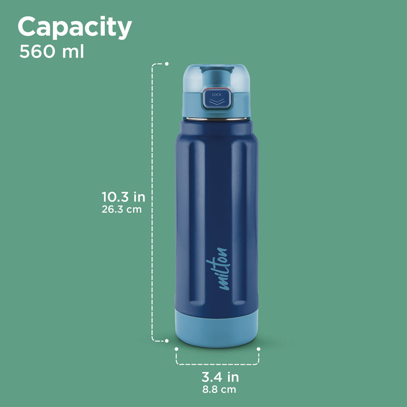 Steel Taurus Water Bottle (Milton)