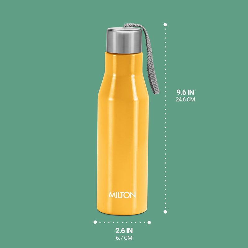 Super Stainless Steel Bottle (Milton)