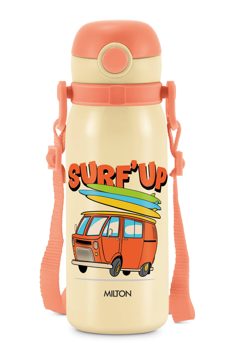 Torque Stainless Steel Bottle (Milton)