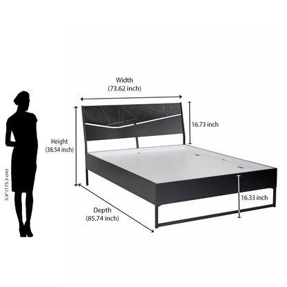 Nilkamal Urbenia Engineered Wood Without Storage King Bed (Black)