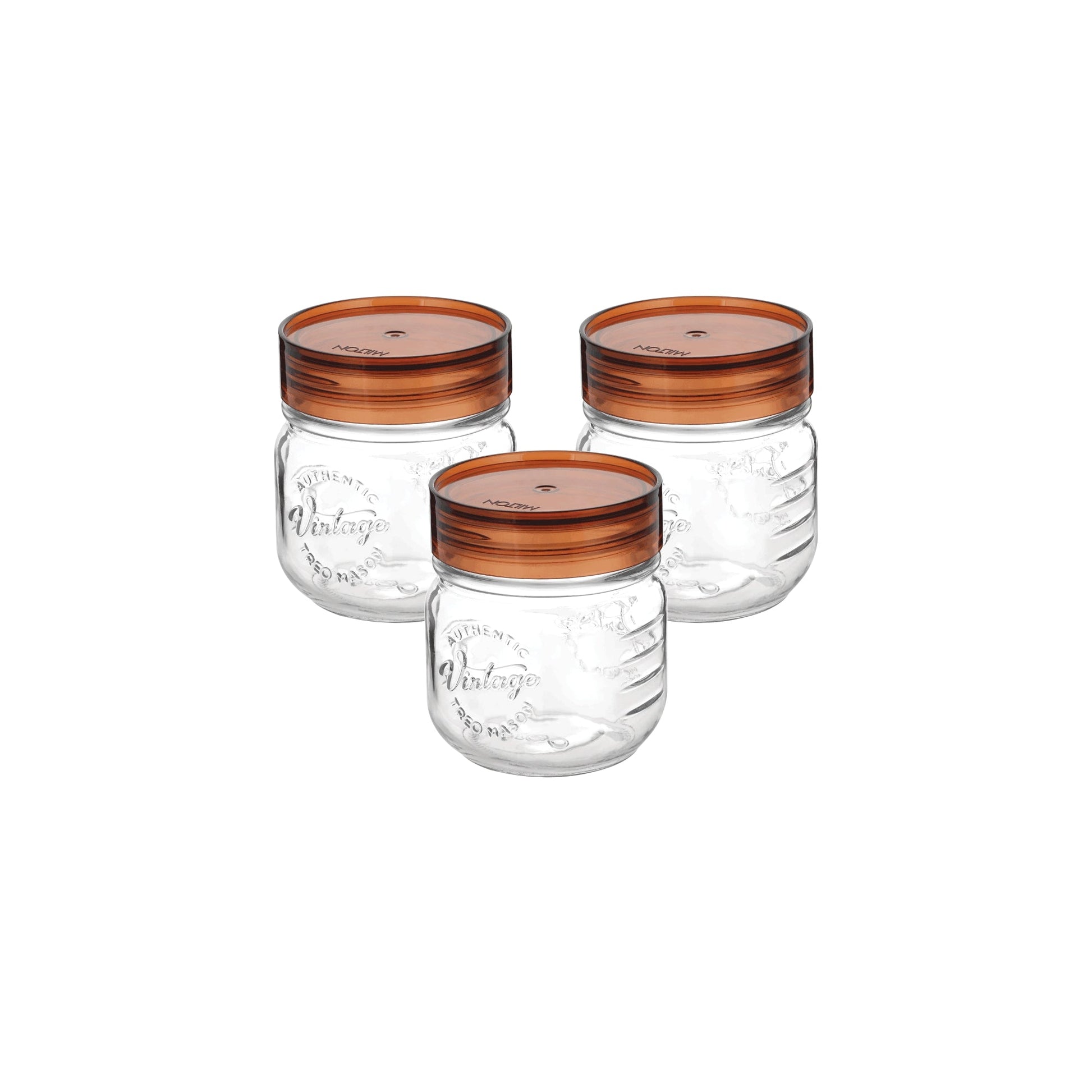 Vintage Glass Jar With Lid  (Treo by Milton)