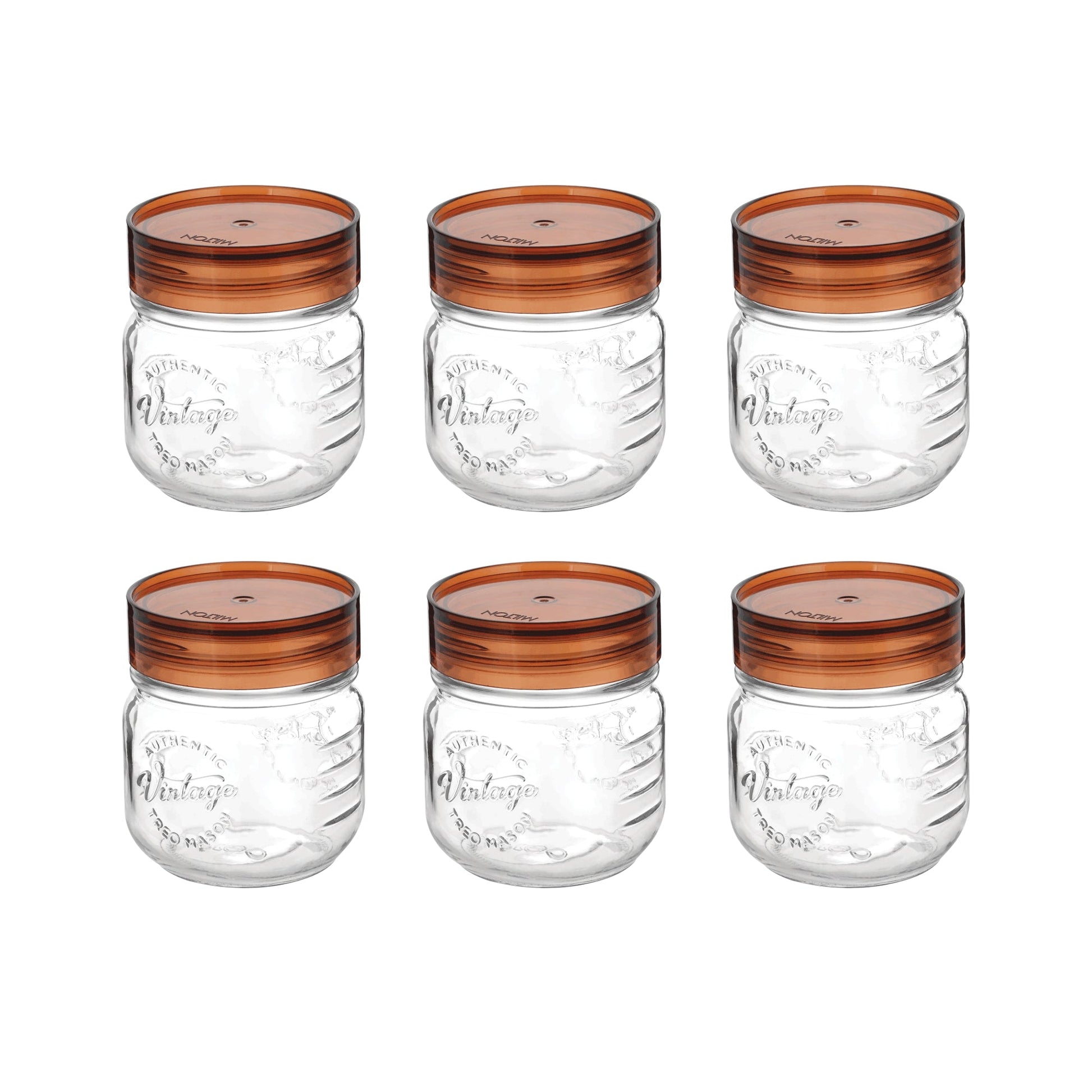 Vintage Glass Jar With Lid  (Treo by Milton)