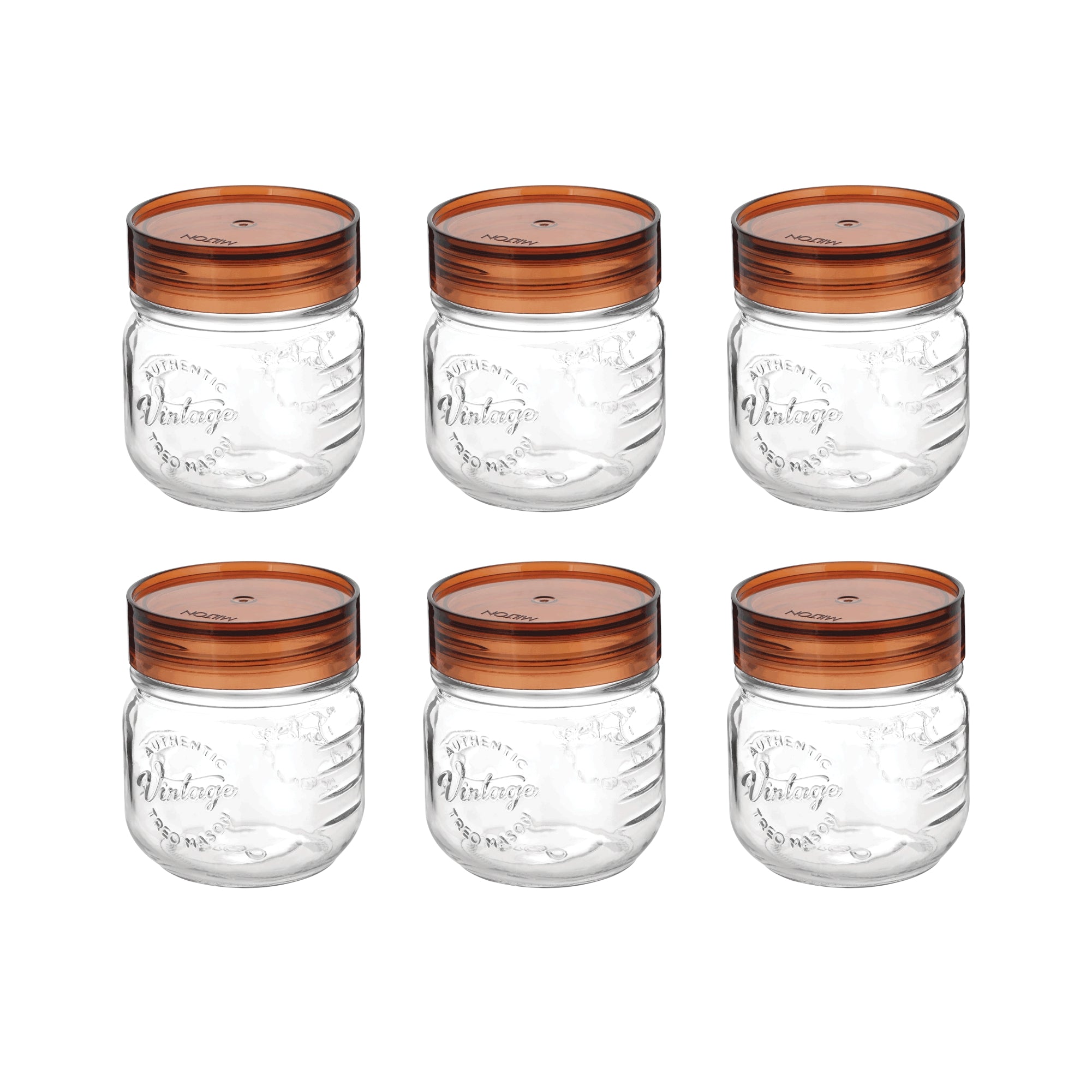 Vintage Glass Jar With Lid  (Treo by Milton)
