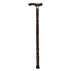 Walking Stick-1