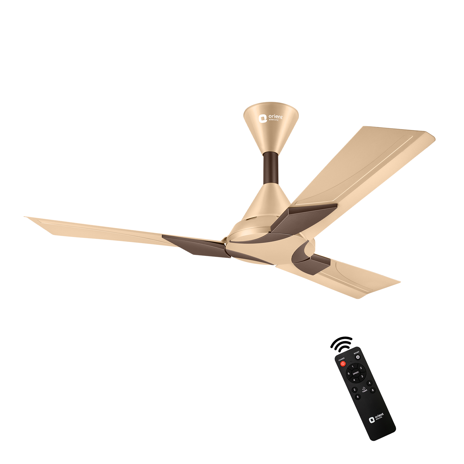 Wendy BLDC Remote Ceiling Fan | 3-Year Warranty