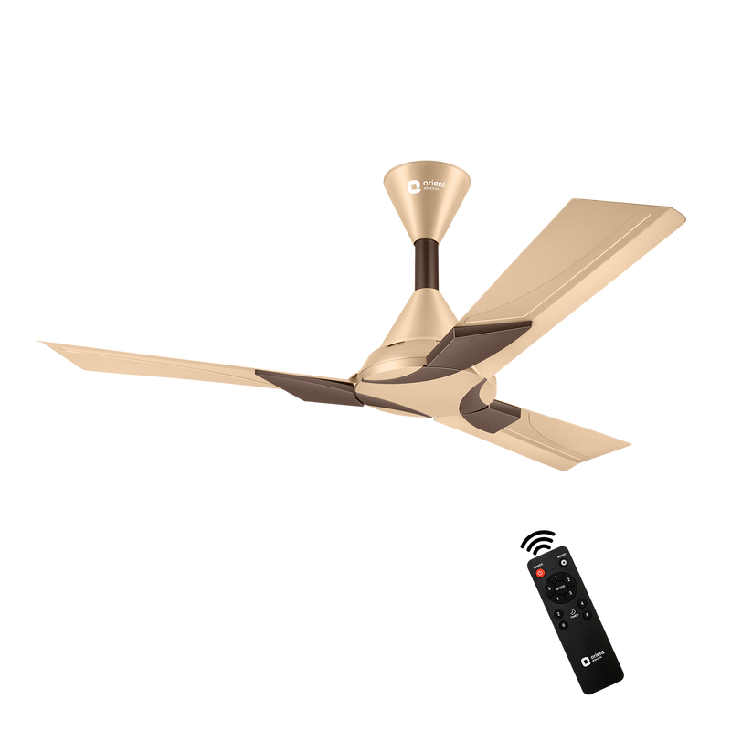 Wendy BLDC Remote Ceiling Fan | 3-Year Warranty