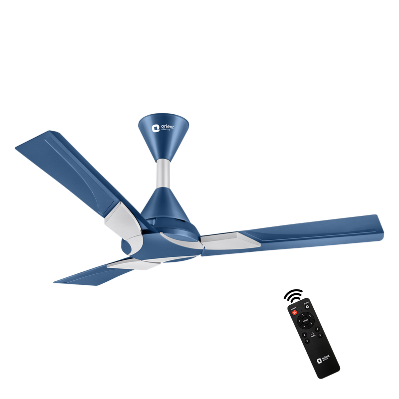 Wendy BLDC Remote Ceiling Fan | 3-Year Warranty