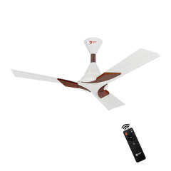 Wendy BLDC Remote Ceiling Fan | 3-Year Warranty