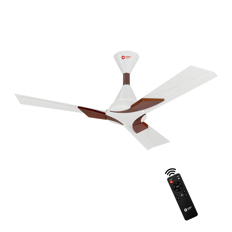 Wendy BLDC Remote Ceiling Fan | 3-Year Warranty