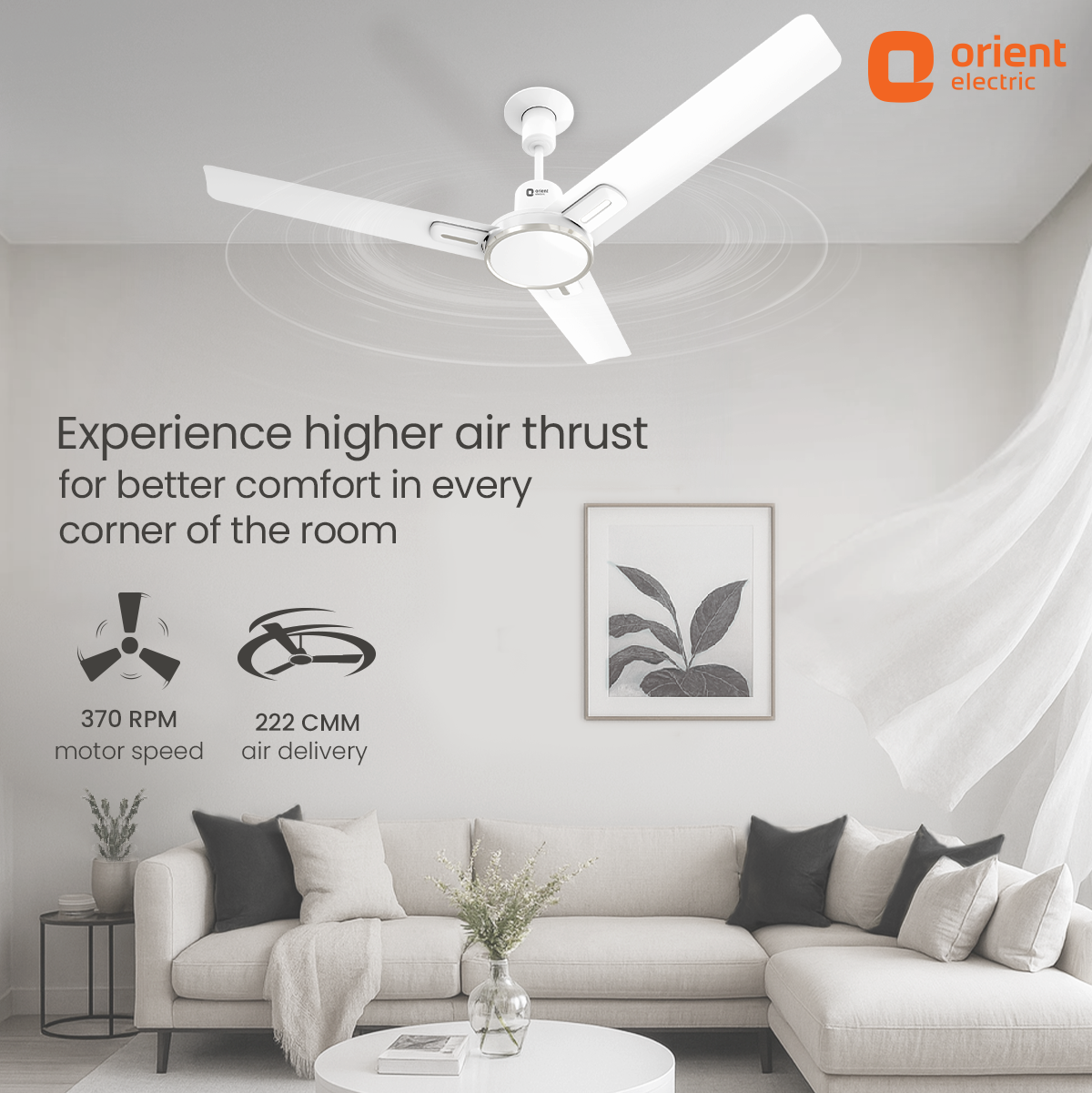 Luna High Speed Decorative Ceiling Fan | 2 Year Warranty