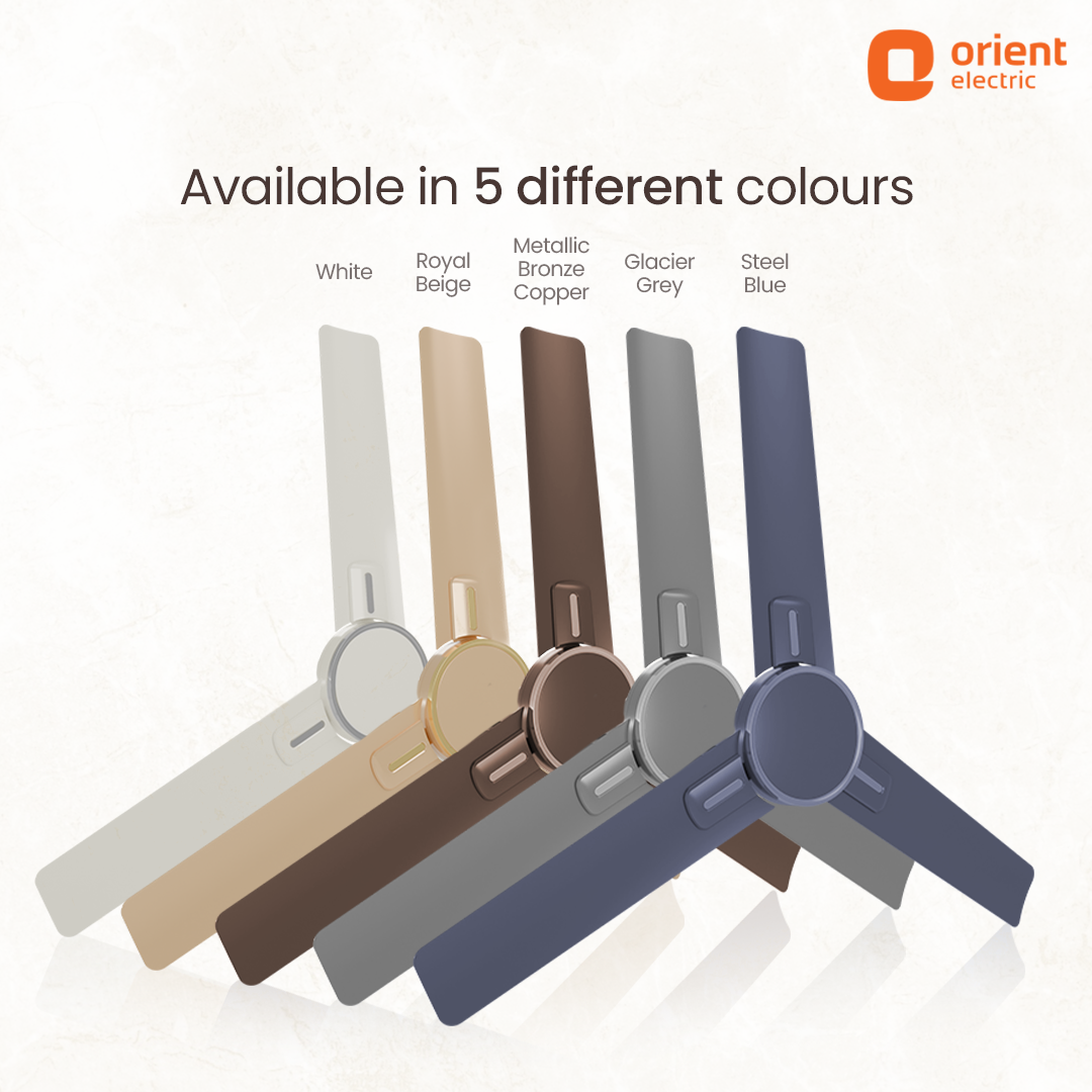 Luna High Speed Decorative Ceiling Fan | 2 Year Warranty