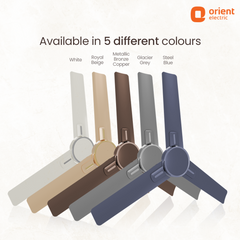 Luna High Speed Decorative Ceiling Fan | 2 Year Warranty