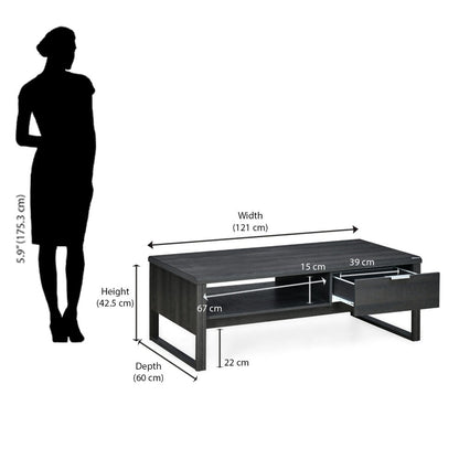 Nilkamal Zina Coffee Table