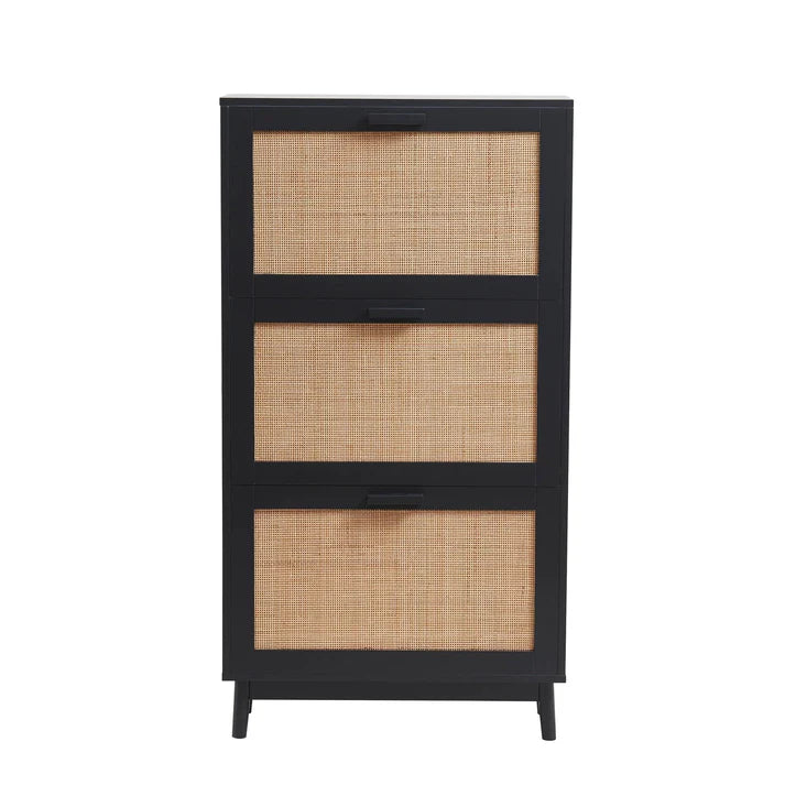 Canora Shoe Cabinet