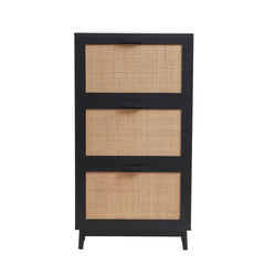 Canora Shoe Cabinet