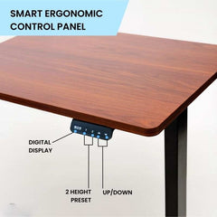 Zenithium brown sit & stand desk with black legs