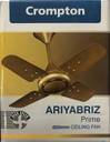 Crompton Ariya Briz 24" High Speed with 2 Year Warranty 600 mm Ceiling Fan (Gold | Pack of 1)
