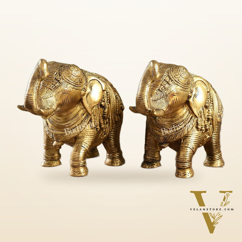 Auspicious Brass Handcrafted Pair of Engraved Elephants with Curled Trunks |
